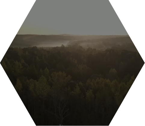 Asvata
